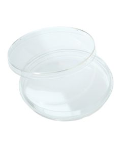 100mm x 15mm Tissue Culture Treated Dish w/Grip Ring, Sterile