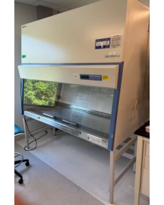Thermo 1300 Series A2 6' BioSafety Cabinet