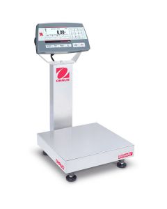 Bench Scale, D52P12RQR1