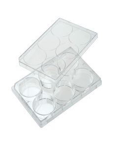 6 Well Tissue Culture Plate with Lid, Individual, Sterile - 229106
