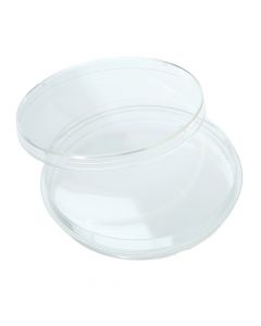 100mm x 15mm Tissue Culture Treated Dish w/Grip Ring, Sterile