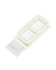 2 Chamber Cell Culture Slide, Glass, Sterile