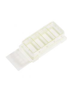 4 Chamber Cell Culture Slide, Glass, Sterile