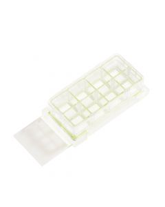 8 Chamber Cell Culture Slide, Glass, Sterile