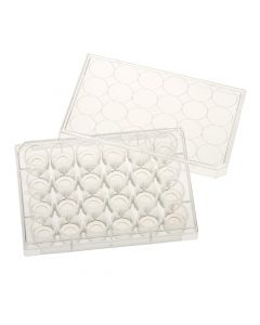 24 Well Tissue Culture Plate with Lid, 10mm Glass Bottom, Individual, Sterile